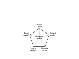 Livelihood assets Social capital Physical capital Financial capital Natural capital Human capital 