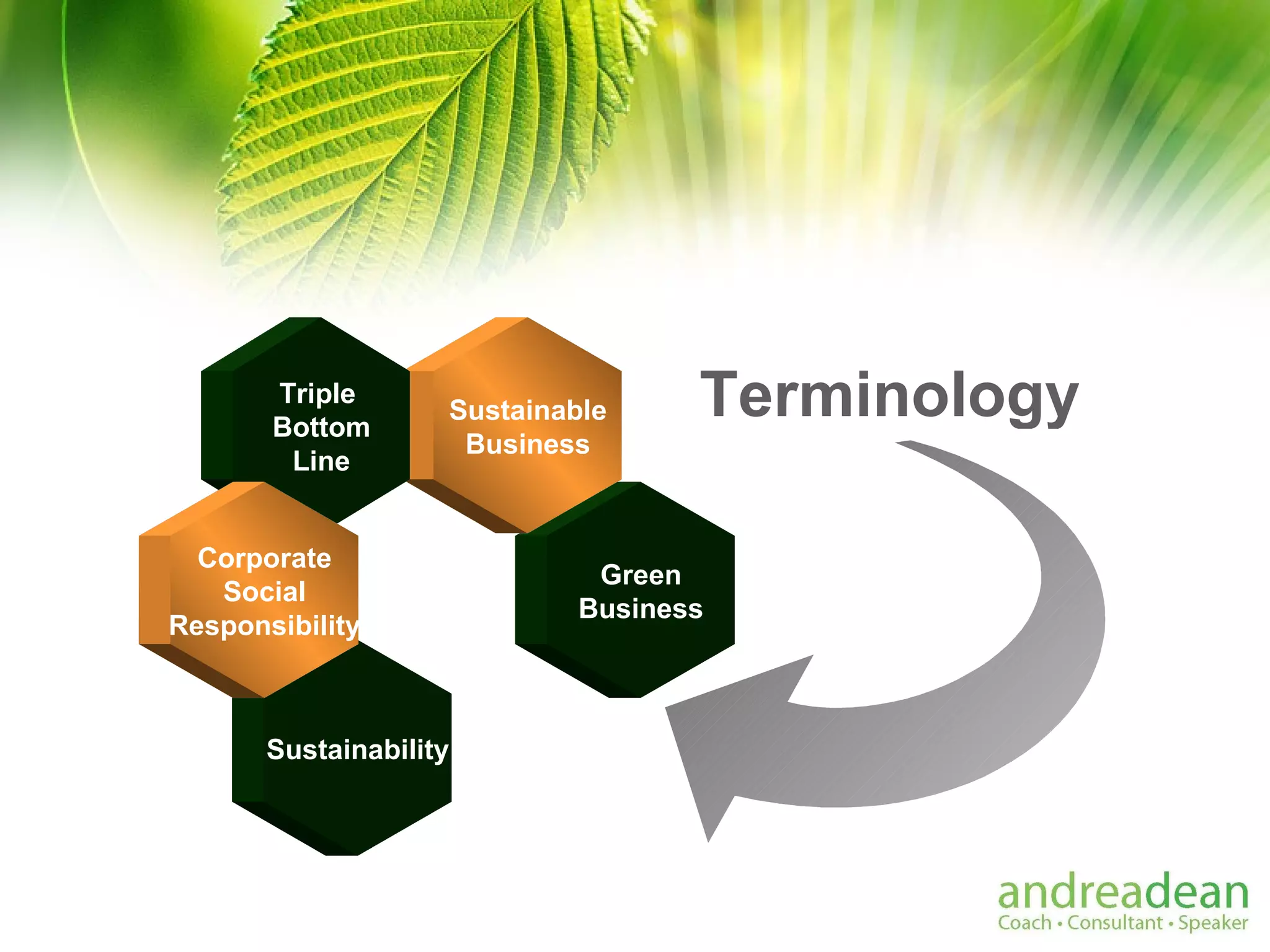 Green Business Sustainable Business Triple  Bottom Line Sustainability Corporate Social Responsibility Terminology 