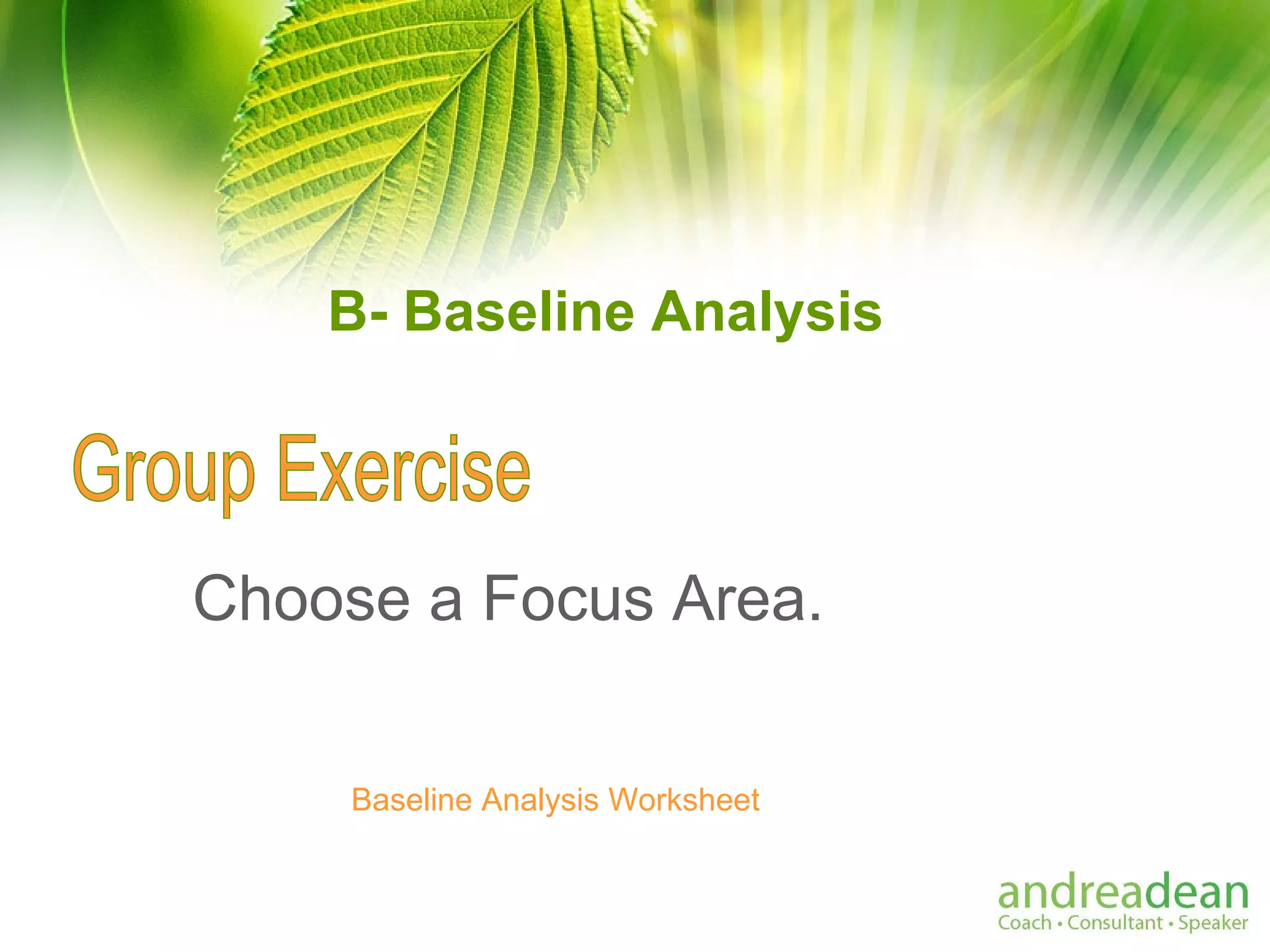 B- Baseline Analysis Choose a Focus Area. Group Exercise Baseline Analysis Worksheet 