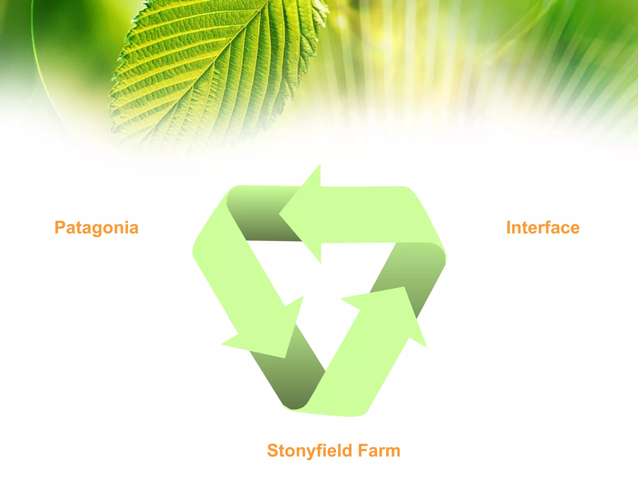 Interface Stonyfield  Farm Patagonia 