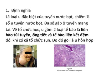 1. Định nghĩa
Là loại u đặc biệt của tuyến nước bọt, chiếm ½
số u tuyến nước bọt. Đa số gặp ở tuyến mang
tai. Về tổ chức học, u gồm 2 loại tế bào là liên
bào túi tuyến, ống tiết và tế bào liên kết đệm
đôi khi có cả tổ chức sụn. Do đó gọi là u hỗn hợp
 