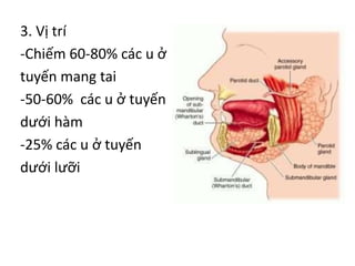 3. Vị trí
-Chiếm 60-80% các u ở
tuyến mang tai
-50-60% các u ở tuyến
dưới hàm
-25% các u ở tuyến
dưới lưỡi
 