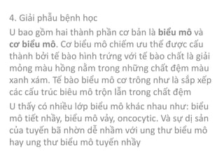 4. Giải phẫu bệnh học
U bao gồm hai thành phần cơ bản là biểu mô và
cơ biểu mô. Cơ biểu mô chiếm ưu thế được cấu
thành bởi tế bào hình trứng với tế bào chất là giải
mỏng màu hồng nằm trong những chất đệm màu
xanh xám. Tế bào biểu mô cơ trông như là sắp xếp
các cấu trúc biêu mô trộn lẫn trong chất đệm
U thấy có nhiều lớp biểu mô khác nhau như: biểu
mô tiết nhầy, biểu mô vảy, oncocytic. Và sự dị sản
của tuyến bã nhờn dễ nhầm với ung thư biểu mô
hay ung thư biểu mô tuyến nhầy
 