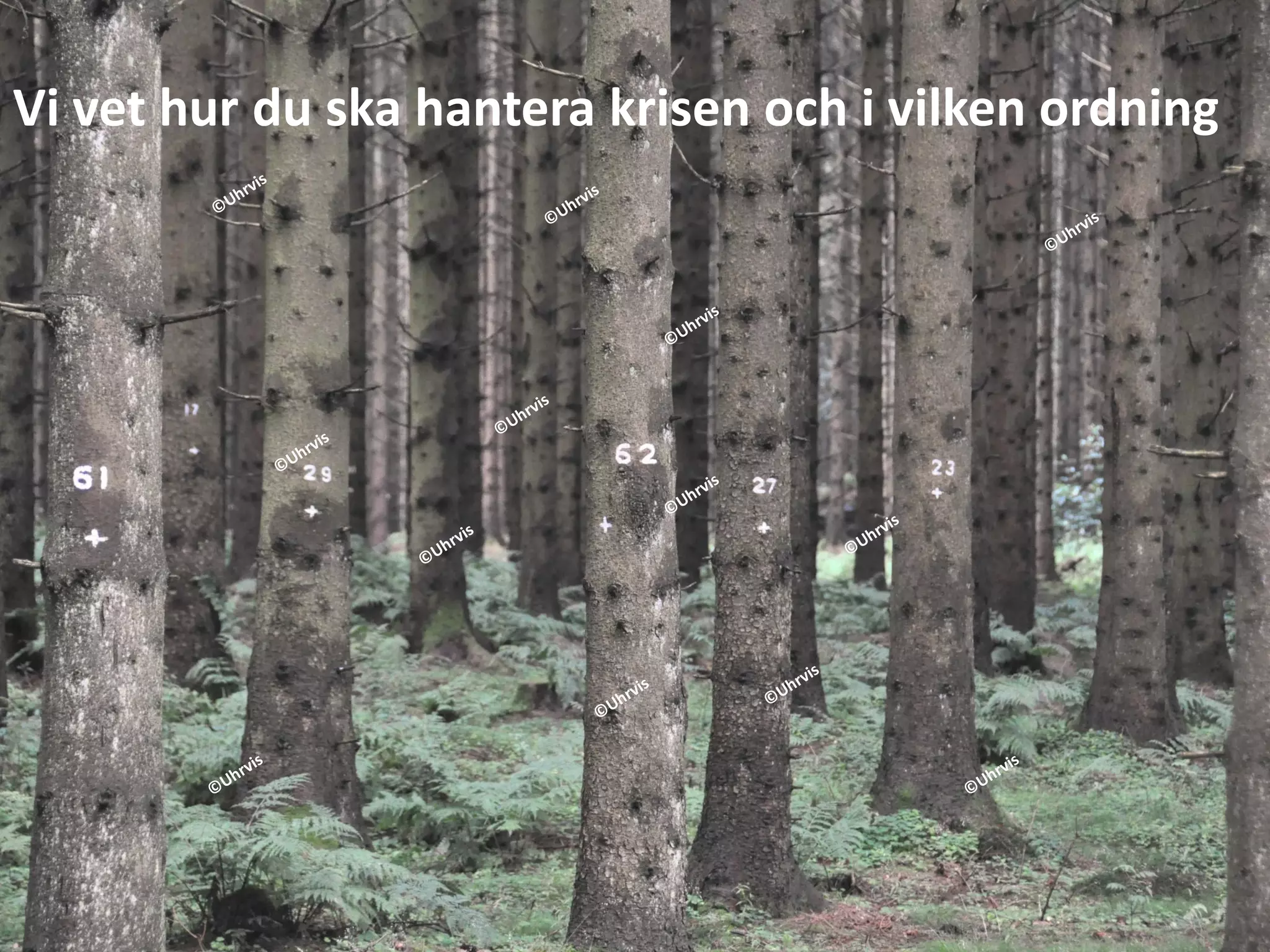 Vi vet hur du ska hantera krisen och i vilken ordning
 