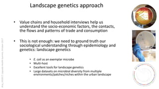 Urban perspectives on zoonotic diseases in livestock