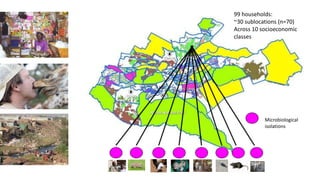 Urban perspectives on zoonotic diseases in livestock