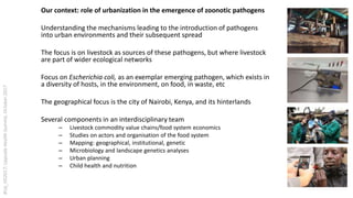 Urban perspectives on zoonotic diseases in livestock