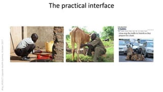 Urban perspectives on zoonotic diseases in livestock