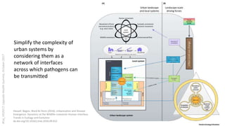 Urban perspectives on zoonotic diseases in livestock