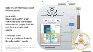 Urban perspectives on zoonotic diseases in livestock