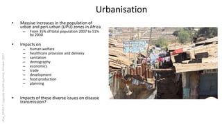 Urban perspectives on zoonotic diseases in livestock
