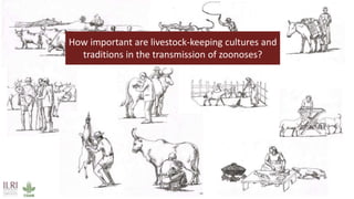 Zoonotic diseases in livestock—Mitigating risk behaviour