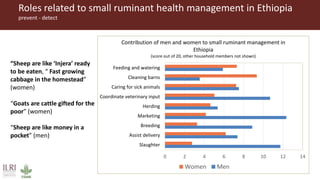 Zoonotic diseases in livestock—Mitigating risk behaviour