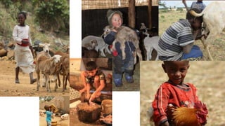 Zoonotic diseases in livestock—Mitigating risk behaviour