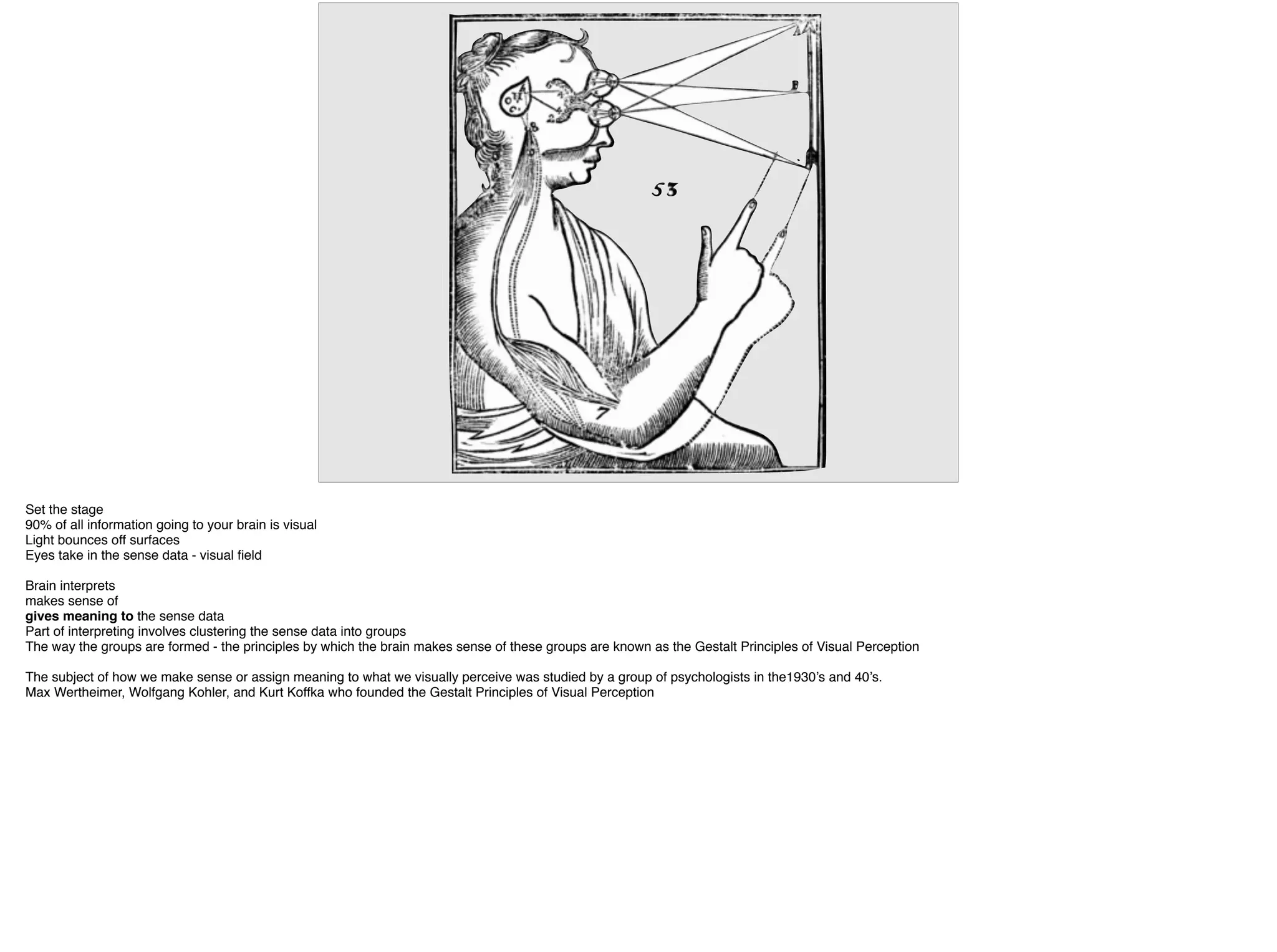 Set the stage
90% of all information going to your brain is visual
Light bounces off surfaces
Eyes take in the sense data - visual ﬁeld
Brain interprets
makes sense of
gives meaning to the sense data
Part of interpreting involves clustering the sense data into groups
The way the groups are formed - the principles by which the brain makes sense of these groups are known as the Gestalt Principles of Visual Perception
The subject of how we make sense or assign meaning to what we visually perceive was studied by a group of psychologists in the1930’s and 40’s.
Max Wertheimer, Wolfgang Kohler, and Kurt Koffka who founded the Gestalt Principles of Visual Perception
 