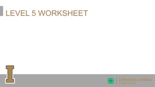 LEVEL 5 WORKSHEET
 