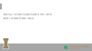 ROI (%) = 47,000-13,000/13,000 X 100 = 261%
BCR = 47,000/13,000 = $3.61
 
