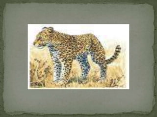 Comparatives Uia  5a 