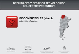 DEBILIDADES Y DESAFIOS TECNOLOGICOS
DEL SECTOR PRODUCTIVO
BIOCOMBUSTIBLES (etanol)
Jujuy, Salta y Tucumán
ICONO
 