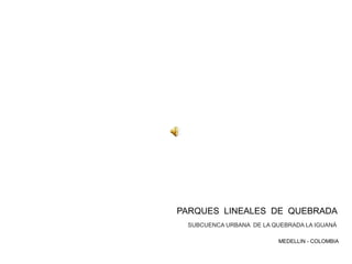 PARQUES LINEALES DE QUEBRADA
MEDELLIN - COLOMBIA
SUBCUENCA URBANA DE LA QUEBRADA LA IGUANÁ
 