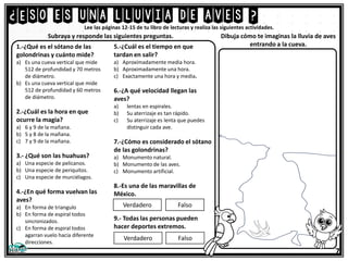 ¿Eso es una lluvia de aves ?
7
Lee las páginas 12-15 de tu libro de lecturas y realiza las siguientes actividades.
1.-¿Qué es el sótano de las
golondrinas y cuánto mide?
a) Es una cueva vertical que mide
512 de profundidad y 70 metros
de diámetro.
b) Es una cueva vertical que mide
512 de profundidad y 60 metros
de diámetro.
2.-¿Cuál es la hora en que
ocurre la magia?
a) 6 y 9 de la mañana.
b) 5 y 8 de la mañana.
c) 7 y 9 de la mañana.
3.- ¿Qué son las huahuas?
a) Una especie de pelicanos.
b) Una especie de periquitos.
c) Una especie de murciélagos.
4.-¿En qué forma vuelvan las
aves?
a) En forma de triangulo
b) En forma de espiral todos
sincronizados.
c) En forma de espiral todos
agarran vuelo hacia diferente
direcciones.
5.-¿Cuál es el tiempo en que
tardan en salir?
a) Aproximadamente media hora.
b) Aproximadamente una hora.
c) Exactamente una hora y media.
6.-¿A qué velocidad llegan las
aves?
a) lentas en espirales.
b) Su aterrizaje es tan rápido.
c) Su aterrizaje es lenta que puedes
distinguir cada ave.
7.-¿Cómo es considerado el sótano
de las golondrinas?
a) Monumento natural.
b) Monumento de las aves.
c) Monumento artificial.
8.-Es una de las maravillas de
México.
9.- Todas las personas pueden
hacer deportes extremos.
Subraya y responde las siguientes preguntas. Dibuja cómo te imaginas la lluvia de aves
entrando a la cueva.
Verdadero Falso
Verdadero Falso
 