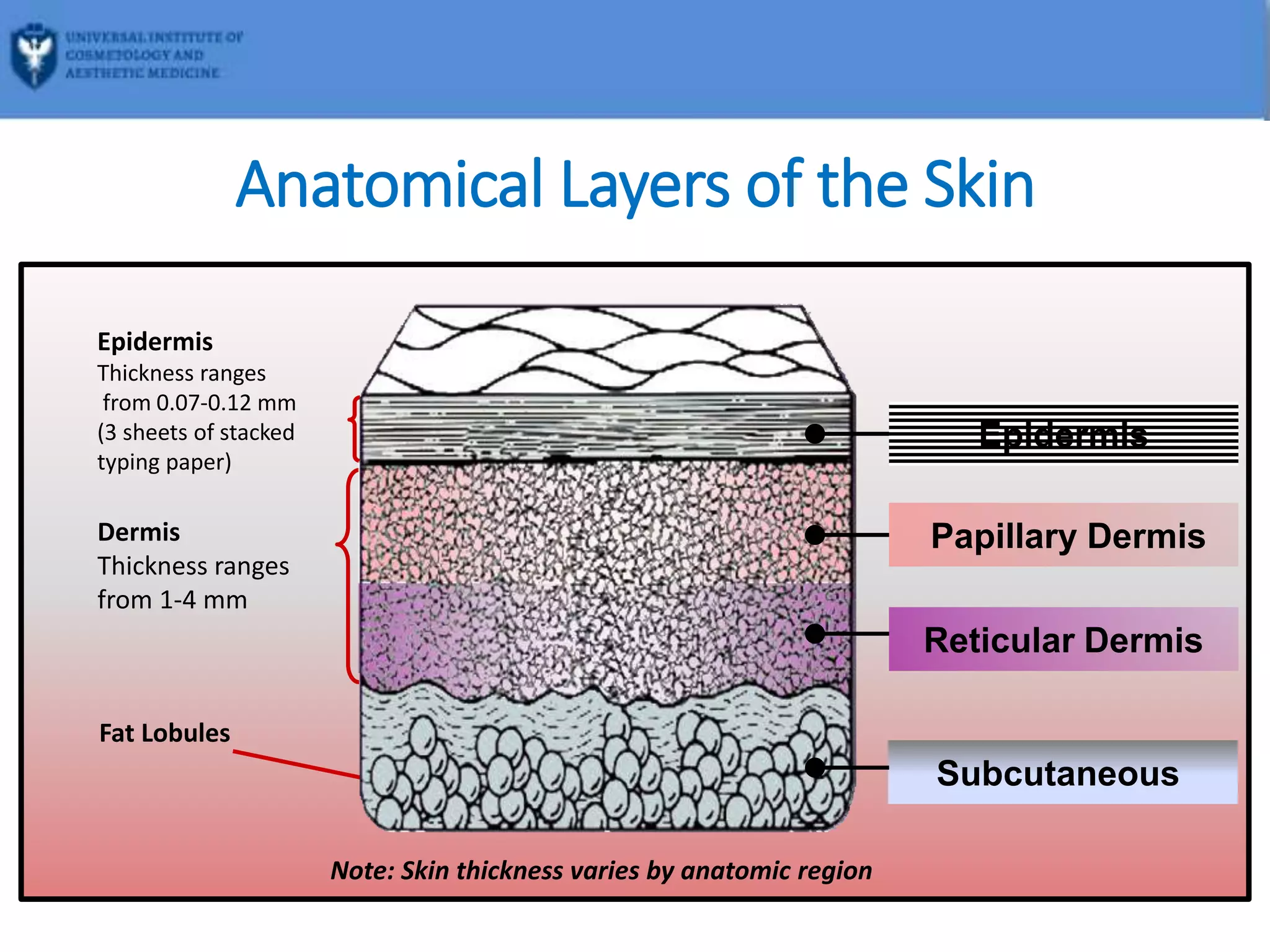 UICAM AdvancedDermalFillers ppt UICAM AdvancedDermalFillers ppt