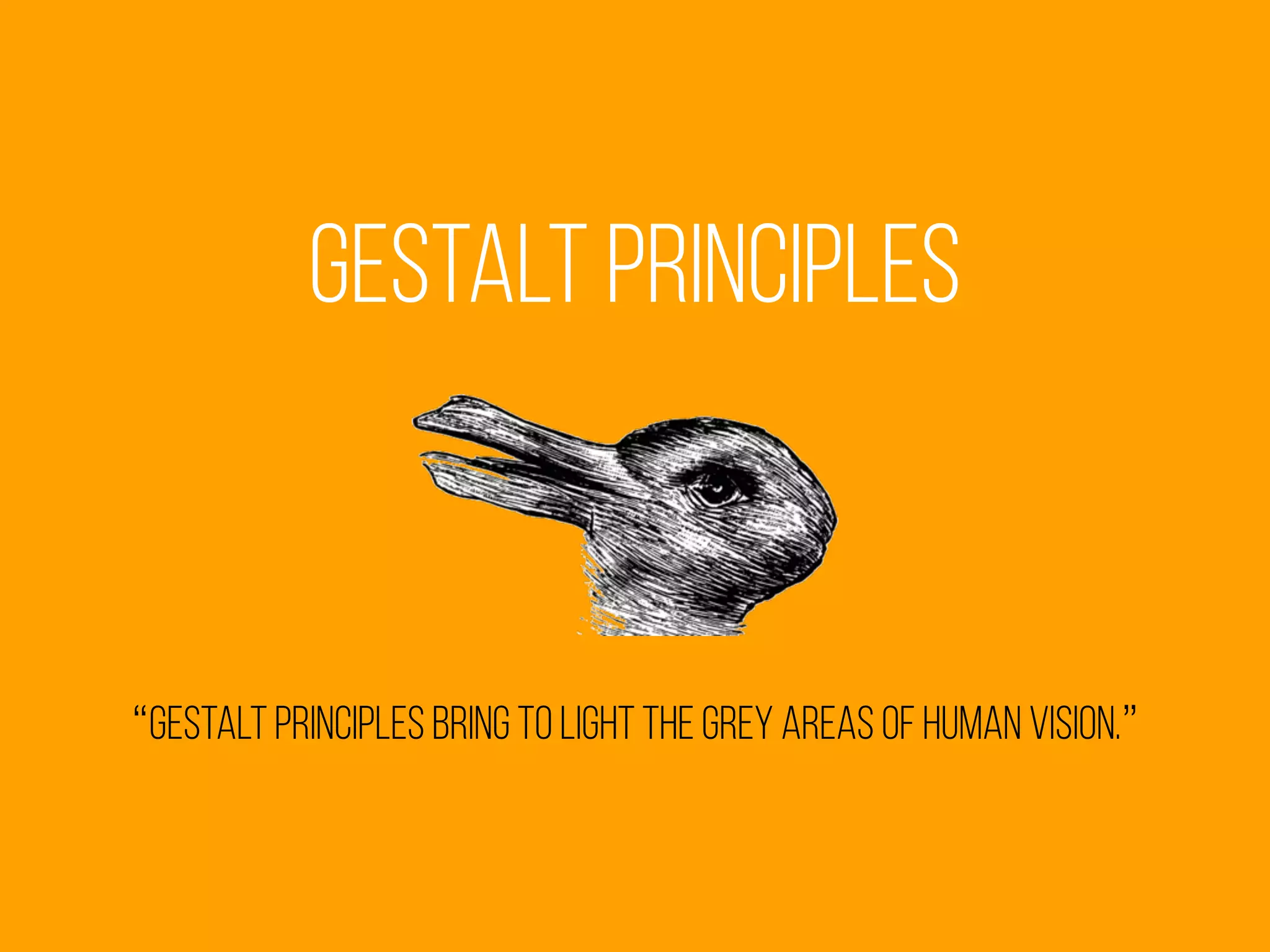 Gestalt principles
“Gestalt principles bring to light the grey areas of human vision.”
 