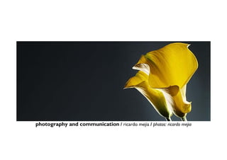 photography and communication / ricardo mejia / photos: ricardo mejia
 