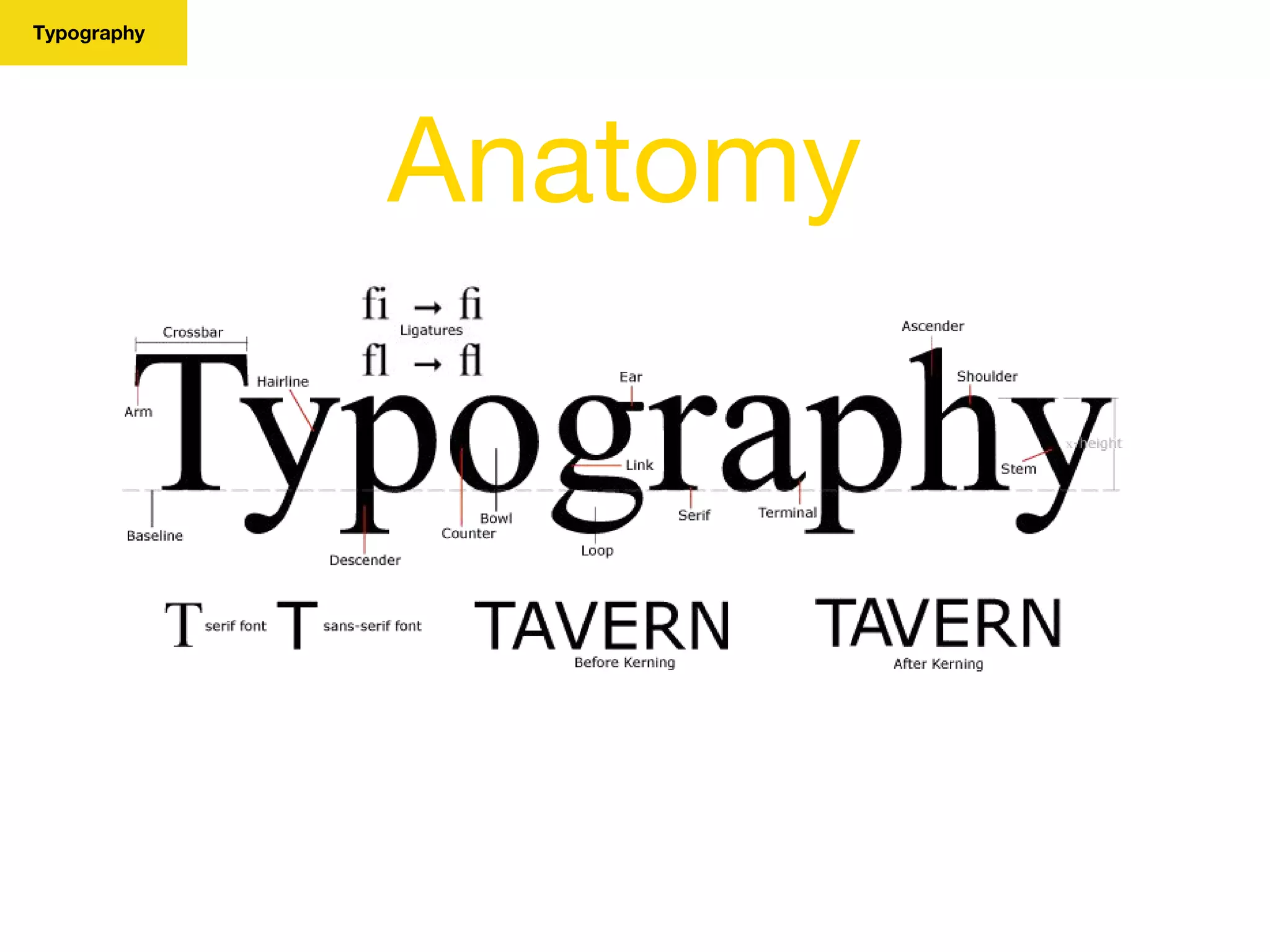 Typography
Anatomy
 