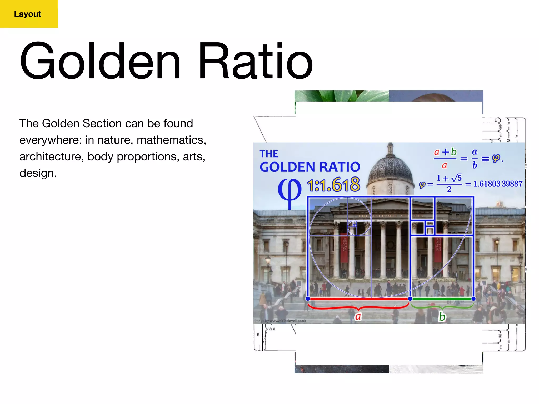 Layout
Golden Ratio
The Golden Section can be found
everywhere: in nature, mathematics,
architecture, body proportions, arts,
design.
 