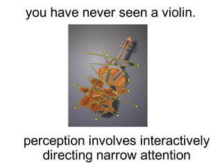 you have never seen a violin.




perception involves interactively
   directing narrow attention
 