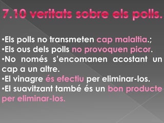 Pediculus pubis (poll del pubis).4.La pediculosi.La pediculosiés la infestacióproduïda per polls. El símptoma principal de la pediculosiés la picor del cuircabellut, que fa l’insecteamb la seva saliva.