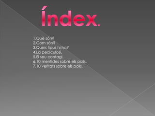 Índex.1.Què són?2.Com són?3.Quins tipus hi ha?4.La pediculosi.5.El seu contagi.6.10 mentides sobre els polls.7.10 veritats sobre els polls.