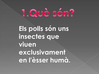 1.Què són?Els pollssón uns insectes que viuenexclusivament en l'èsserhumà.