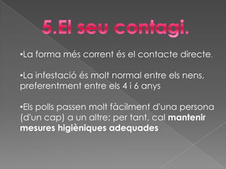 S’alimenten amb la sang que xuclen.