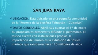 SAN JUAN RAYA
UBICACIÓN. Esta ubicado en una pequeña comunidad
de la “Reserva de la biosfera Tehuacán - Cuicatlán”.
DATOS GENERALES. Abrió sus puertas el 17 de enero
du propósito es preservar y difundir el patrimonio. El
museo cuenta con instalaciones propias, la
importancia del museo es la exhibición de fósiles
marinos que existieron hace 110 millones de años.