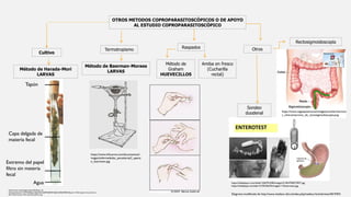OTROS METODOS COPROPARASITOSCÓPICOS O DE APOYO
AL ESTUDIO COPROPARASITOSCÓPICO
Cultivo
Termotropismo
Método de Harada-Mori
LARVAS
Método de Baerman-Moraes
LARVAS
Raspados Otros
Método de
Graham
HUEVECILLOS
Amiba en fresco
(Cucharilla
rectal)
Sondeo
duodenal
Rectosigmoidoscopía
https://slideplayer.com/slide/13567910/82/images/21/ENTEROTEST.jpg
https://slideplayer.es/slide/15195336/92/images/11/Enterotest.jpg
https://www.cegaspanama.net/images/joomlart/servicio
s_clinicos/servicio_de_rectosigmoidoscopia.png
https://www.infocarne.com/documentos/i
mages/enfermedades_parasitarias2_aparat
o_baermann.jpg
Diagrama modificado de http://www.medisur.sld.cu/index.php/medisur/article/view/2019/931
Agua
Tapón
Capa delgada de
materia fecal
Extremo del papel
filtro sin materia
fecal
https://www.researchgate.net/profile/Suzan_Al-
Azizz/publication/311877602/figure/fig2/AS:616369922007041@1523965449052/Figure-12-Filter-paper-strip-culture-c-
Petri-Dish-Culture-This-method-used-for.png
 