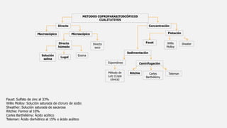 METODOS COPROPARASITOSCÓPICOS
CUALITATIVOS
Directo Concentración
Macroscópico Microscópico
Directo
húmedo
Directo
seco
Solución
salina
Eosina
Lugol
Flotación
Sedimentación
Willis
Molloy
Faust
Ritchie Teleman
Método de
Lutz (Copa
cónica)
Centrifugación
Espontánea
Carles
Barthélémy
Faust: Sulfato de zinc al 33%
Willis Molloy: Solución saturada de cloruro de sodio
Sheather: Solución saturada de sacarosa
Ritchie: Formol al 10%
Carles Barthélémy: Ácido acético
Teleman: Ácido clorhídrico al 15% o ácido acético
Sheater
 