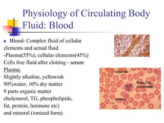 Physiology of Circulating Body
Fluid: Blood
 Blood- Complex fluid of cellular
elements and actual fluid
-Plasma(55%), cellular elements(45%)
Cells free fluid after clotting - serum
Plasma:
Slightly alkaline, yellowish
90%water, 10% dry matter
9 parts organic matter
cholesterol, TG, phospholipids,
fat, protein, hormone etc)
and mineral (ionized form)
 