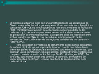 Construcción de Vectores para Generación de Anticuerpos Monoclonales ...