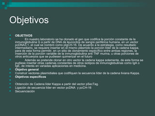 Construcción de Vectores para Generación de Anticuerpos Monoclonales ...