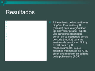 Construcción de Vectores para Generación de Anticuerpos Monoclonales ...