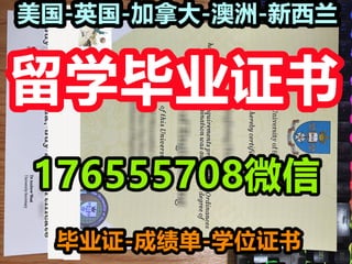 Usf Pdf USF文凭 | PDF