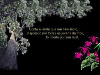 Conta a lenda que um belo índio,  disputado por todas as jovens da tribo,  foi morto por seu rival.  