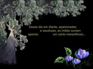 Desse dia em diante, apaixonadas
e saudosas, as índias ouviam
apenas
um canto maravilhoso...

 