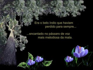 Era o belo índio que haviam
perdido para sempre...
...encantado no pássaro de voz
mais melodiosa da mata.

 