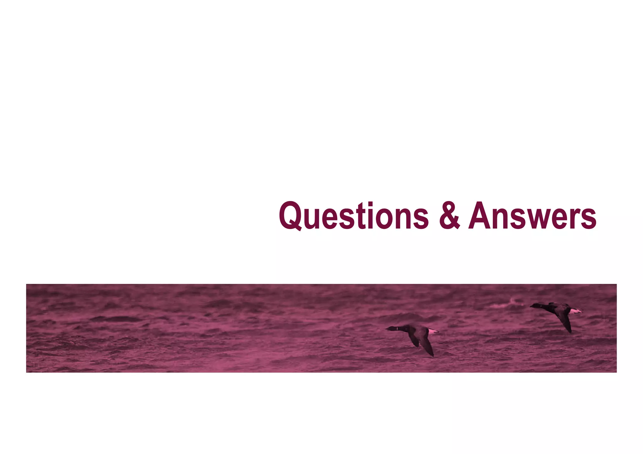 Questions & Answers




 July 2009       83
 