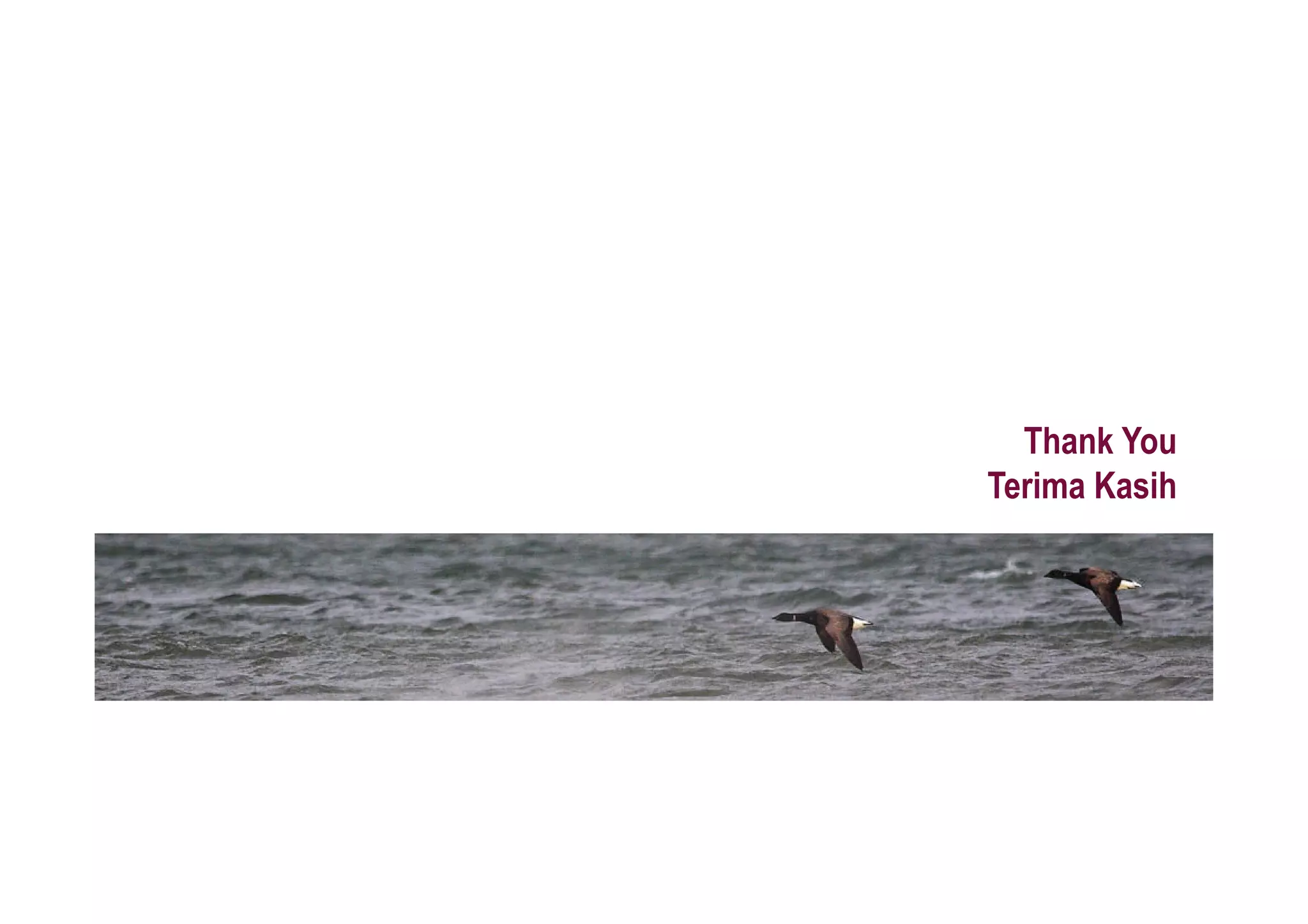 Thank You
Terima Kasih
 