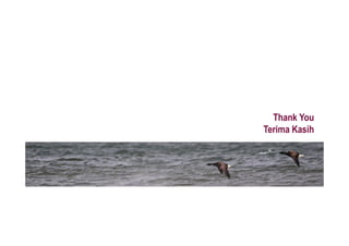 Thank You
Terima Kasih
 