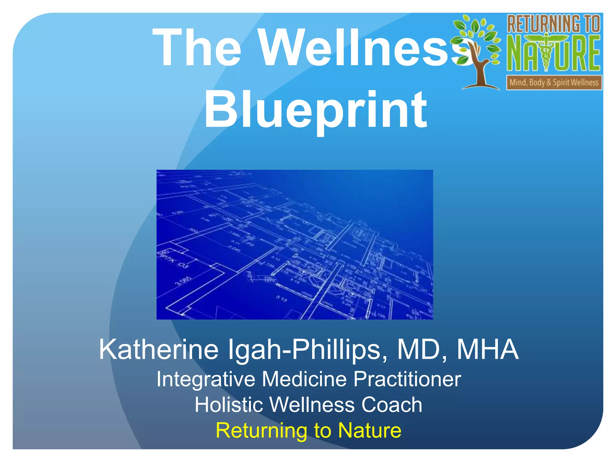 Your Wellness Blueprint: Understanding The Interconnected System - 9c5hda9